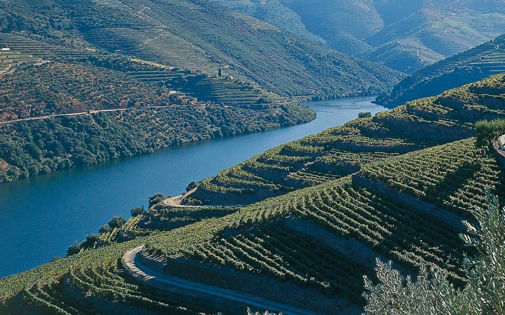 Porto Portugal winery ‹ Custom Getaways